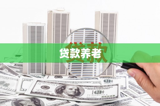 南宁贷款养老