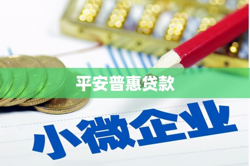 宜良平安普惠贷款