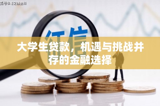 太保大学生贷款，机遇与挑战并存的金融选择