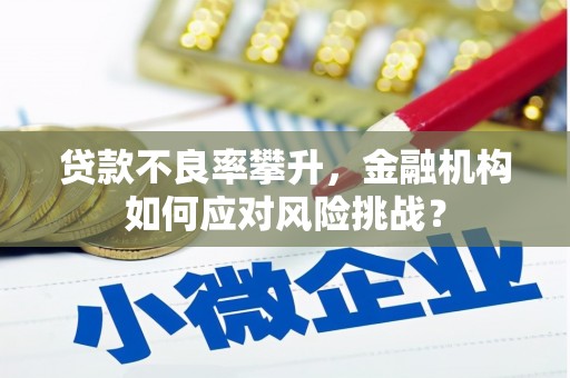 宜良贷款不良率攀升，金融机构如何应对风险挑战？