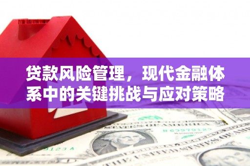 兴隆贷款风险管理，现代金融体系中的关键挑战与应对策略