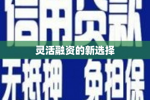 池上灵活融资的新选择