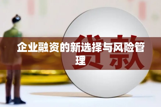 巴里坤企业融资的新选择与风险管理