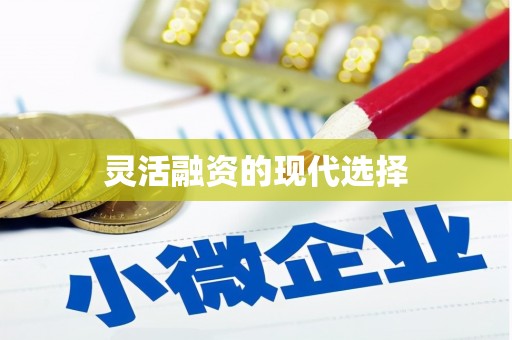 四川灵活融资的现代选择