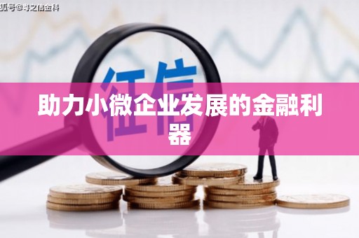 六安助力小微企业发展的金融利器