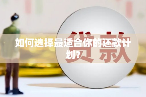 安化如何选择最适合你的还款计划？