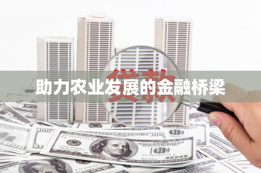 沙洋助力农业发展的金融桥梁