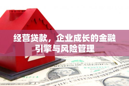阿巴嘎旗经营贷款，企业成长的金融引擎与风险管理