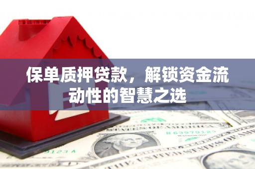 西海岸保单质押贷款，解锁资金流动性的智慧之选